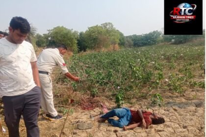 Illegal Electric Hunting