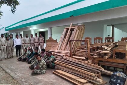 Illegal Teak Wood Action