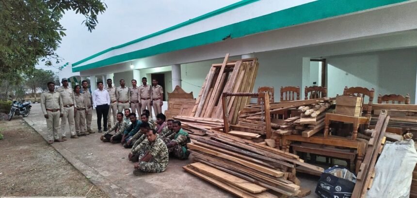 Illegal Teak Wood Action