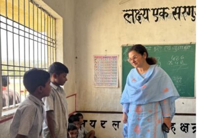 Korea Collector Inspection