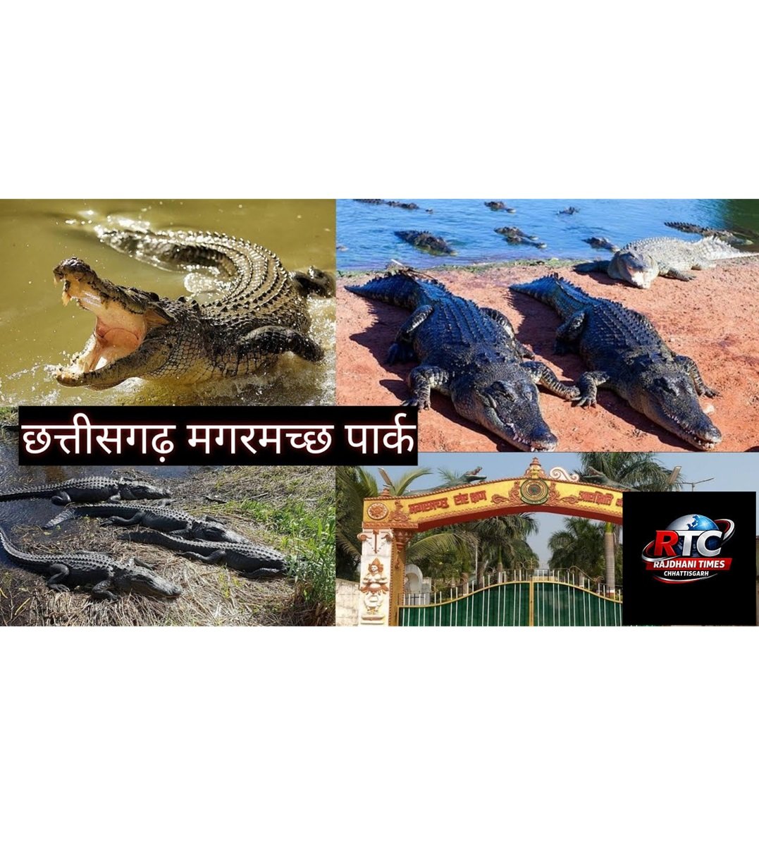Kotmi Sonar Crocodile Park