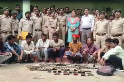 Leopard Skin Smuggling