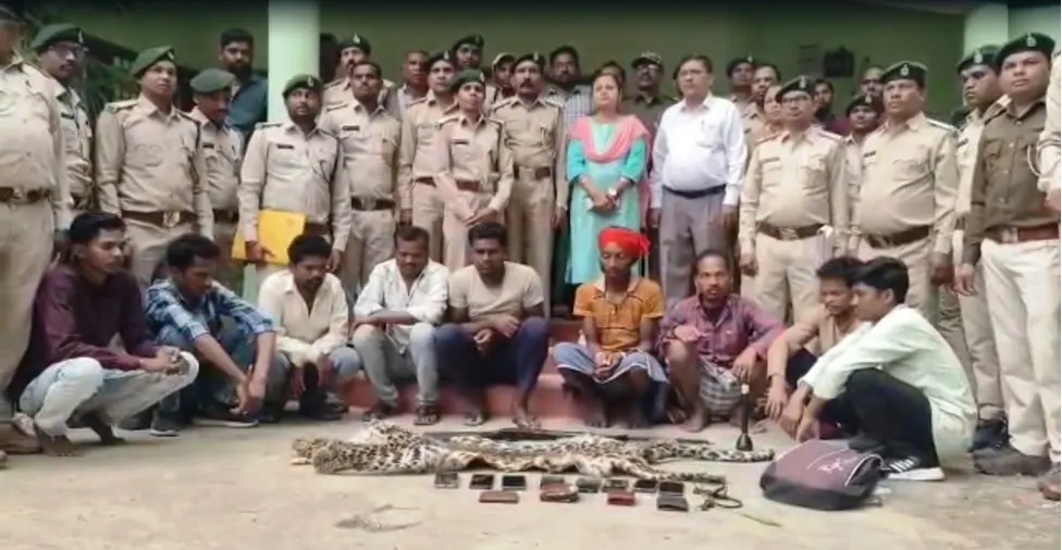 Leopard Skin Smuggling