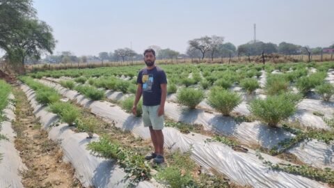 Organic Farming Success Story