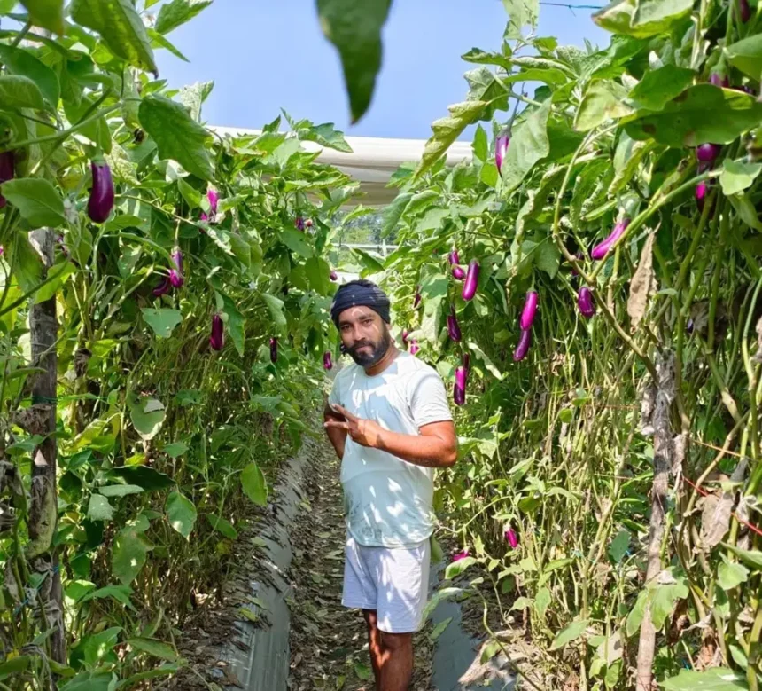 Organic Farming Success Story