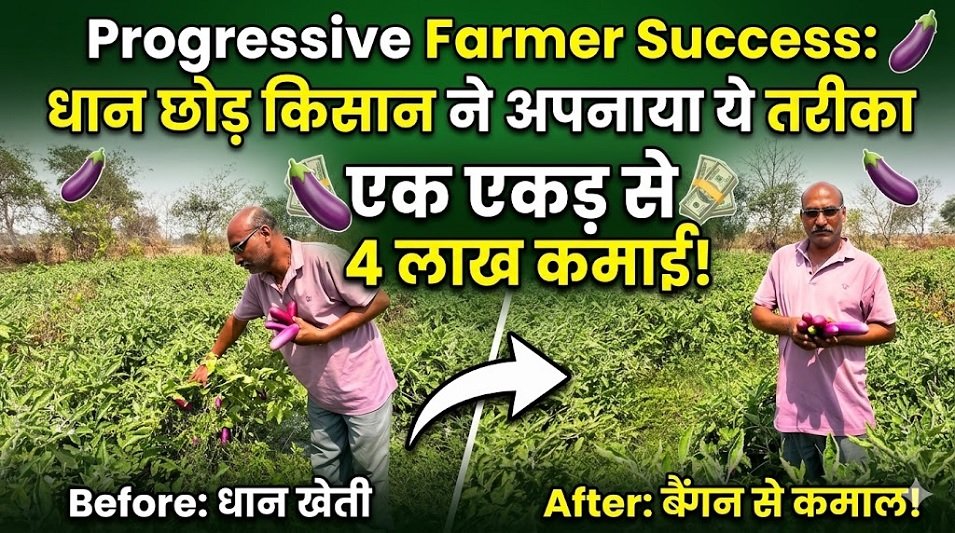 Progressive Farmer Success
