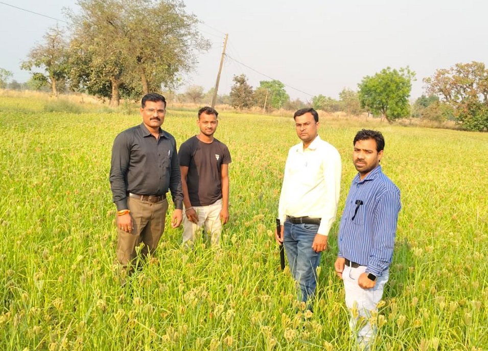 Ragi Farming