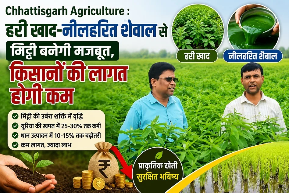 Chhattisgarh Agriculture