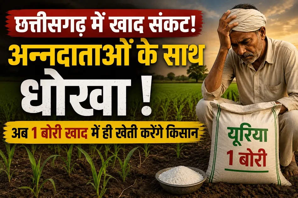 Chhattisgarh Fertilizer Crisis