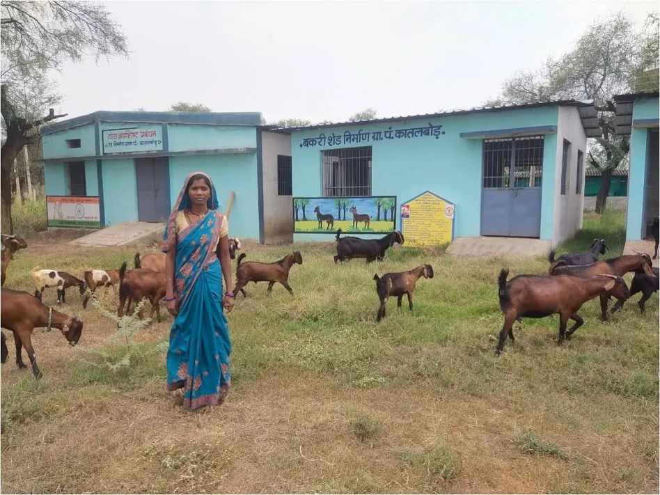 Goat Farming Dhamtari Success Story