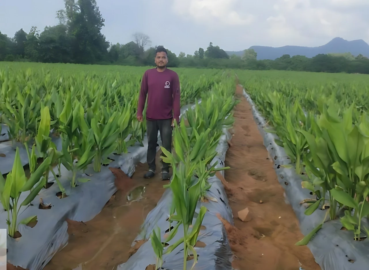 Raigarh Farmers Success Story