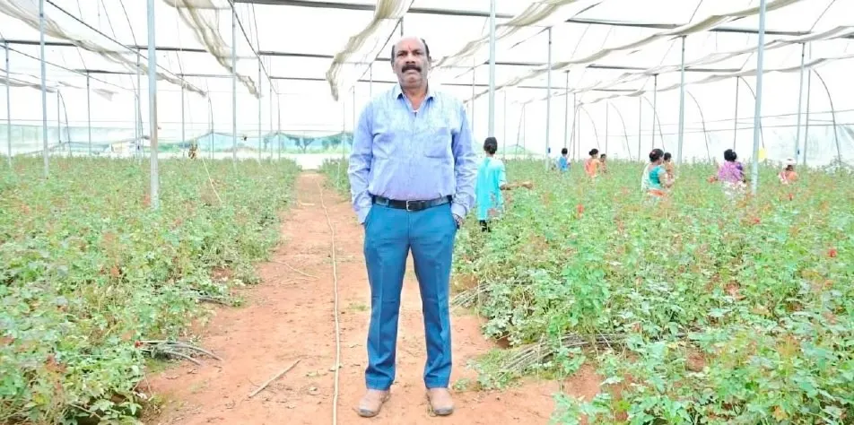 Bastar Rose Farming