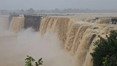 Chitrakote Waterfall : बारिश में बदला चित्रकूट जलप्रपात का नजारा, देखें मंत्रमुग्ध कर देने वाला वीडियो