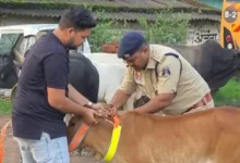 Road Safety Raigarh : सड़क हादसे रोकने Raigarh ट्रैफिक पुलिस की अनोखी पहल