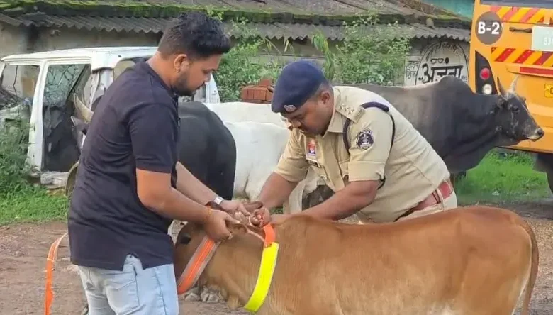 Road Safety Raigarh : सड़क हादसे रोकने Raigarh ट्रैफिक पुलिस की अनोखी पहल