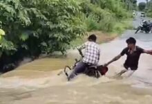 Sahajpali Nala Accident : उफनते नाले में बही बाइक, ग्रामीणों ने बचाई चालक की जान