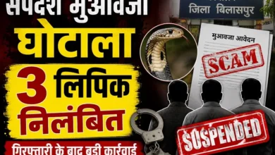 Snakebite Compensation Scam Bilaspur : सर्पदंश मुआवजा घोटाले में गिरफ्तार तीन लिपिक निलंबित