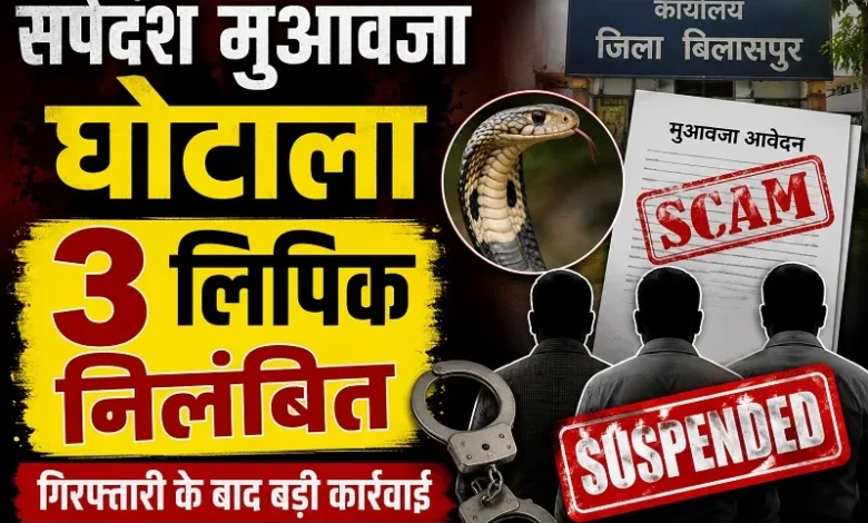 Snakebite Compensation Scam Bilaspur : सर्पदंश मुआवजा घोटाले में गिरफ्तार तीन लिपिक निलंबित