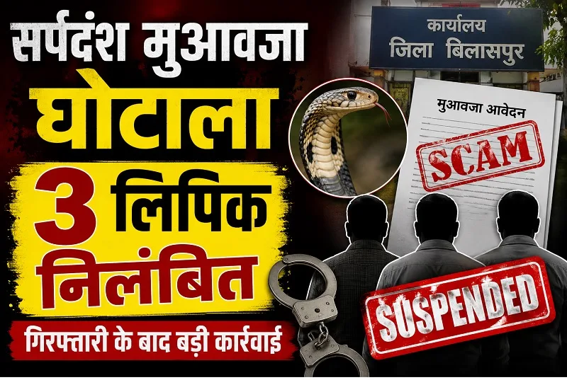 Snakebite Compensation Scam Bilaspur : सर्पदंश मुआवजा घोटाले में गिरफ्तार तीन लिपिक निलंबित