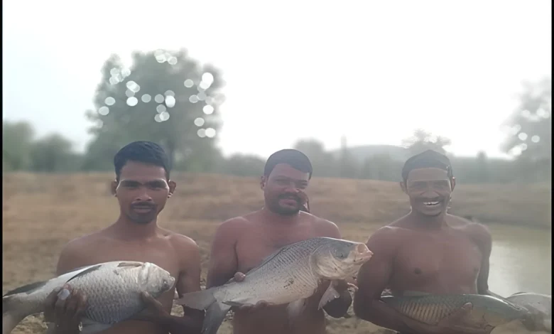 Fish Farming : तालाब में पाली मछलियां, 35 हजार की खर्च में 1.30 लाख रुपये का मुनाफा