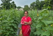 Kheera Ki Kheti : 1 लाख रुपये का ऋण लेकर शुरू की खीरे की खेती, अब ‘लखपति दीदी’ बनने का लक्ष्य