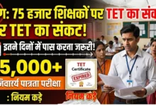 CG Teacher Eligibility Test News : 75 हजार शिक्षकों पर टीईटी का संकट, इतने दिनों में पास करना जरूरी