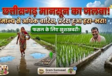 Chhattisgarh Monsoon : प्रदेश में मानसून मेहरबान, कई जिलों में सामान्य से अधिक बारिश