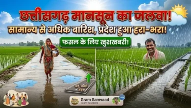 Chhattisgarh Monsoon : प्रदेश में मानसून मेहरबान, कई जिलों में सामान्य से अधिक बारिश
