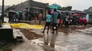 Dharamjaigarh Jangali Hathi : आबादी में घुसा हाथी, बुजुर्ग को कुचलकर उतारा मौत के घाट