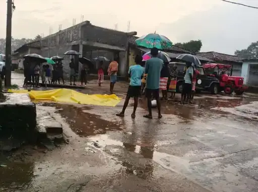 Dharamjaigarh Jangali Hathi : आबादी में घुसा हाथी, बुजुर्ग को कुचलकर उतारा मौत के घाट