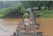 Kanker Bridge Wooden News : सपनों की राह पर मौत का पुल, लकड़ी के सहारे जान जोखिम में डाल रहे ग्रामीण