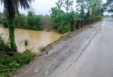 Katangpali Bridge : टूटी रेलिंग के भरोसे जिंदगी, कटंगपाली पुल पर मंडरा रहा हादसे का खतरा
