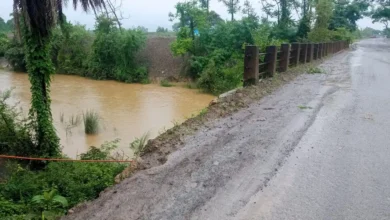 Katangpali Bridge : टूटी रेलिंग के भरोसे जिंदगी, कटंगपाली पुल पर मंडरा रहा हादसे का खतरा