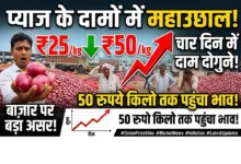 Onion Price Hike : चार दिन में दोगुने हुए प्याज के दाम, 50 रुपये किलो तक पहुंचा भाव