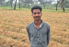 Ginger Farming Success : धान छोड़ अदरक ने बदली किसान की किस्मत, पौन एकड़ से साढ़े चार लाख का मुनाफा