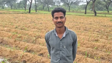Ginger Farming Success : धान छोड़ अदरक ने बदली किसान की किस्मत, पौन एकड़ से साढ़े चार लाख का मुनाफा