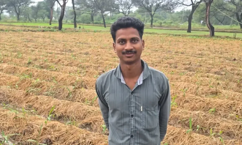 Ginger Farming Success : धान छोड़ अदरक ने बदली किसान की किस्मत, पौन एकड़ से साढ़े चार लाख का मुनाफा
