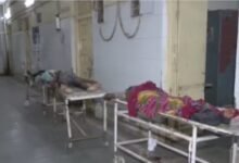 Bhind Road Accident : गायों को बचाने में डंपर से टकराई पिकअप, 8 की मौत और 25 घायल