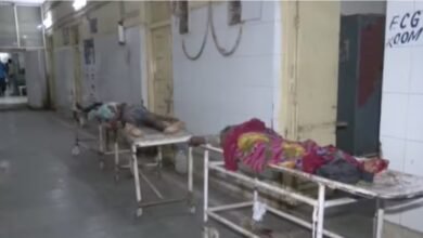 Bhind Road Accident : गायों को बचाने में डंपर से टकराई पिकअप, 8 की मौत और 25 घायल