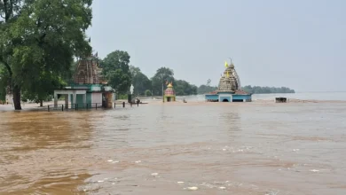 Mahanadi Flood : महानदी का रौद्र रूप, पोरथ शिव मंदिर डूबा, कई गांवों में घरों तक पहुंचा पानी