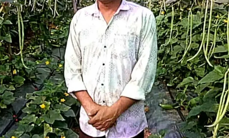 Barbatty Farming Success Story Raigarh : बरबटी-खीरा की खेती से 2.70 लाख का शुद्ध मुनाफा, ये तरीका आया काम