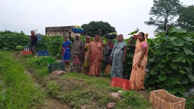 Women Farmer Success Story : 35 महिलाओं ने उगाईं 600 क्विंटल सब्जियां, 6 लाख की कमाई