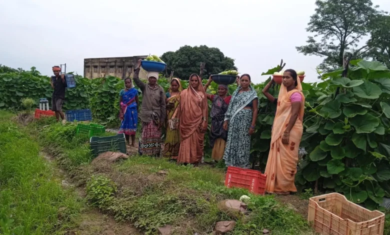 Women Farmer Success Story : 35 महिलाओं ने उगाईं 600 क्विंटल सब्जियां, 6 लाख की कमाई
