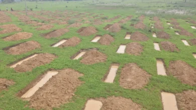 Water Conservation Raigarh : ढलानों पर बनेंगे 16,873 ट्रेंच, 52.55 लाख रुपये होंगे खर्च; संवरेंगे खेत और गांव