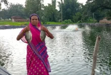 Fisheries Subsidy Chhattisgarh : मछली पालन शुरू करना है तो ये योजना जानें, 60% खर्च सरकार देगी
