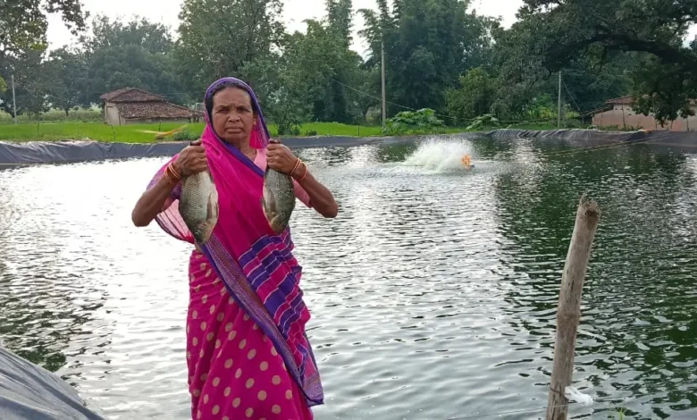 Fisheries Subsidy Chhattisgarh : मछली पालन शुरू करना है तो ये योजना जानें, 60% खर्च सरकार देगी