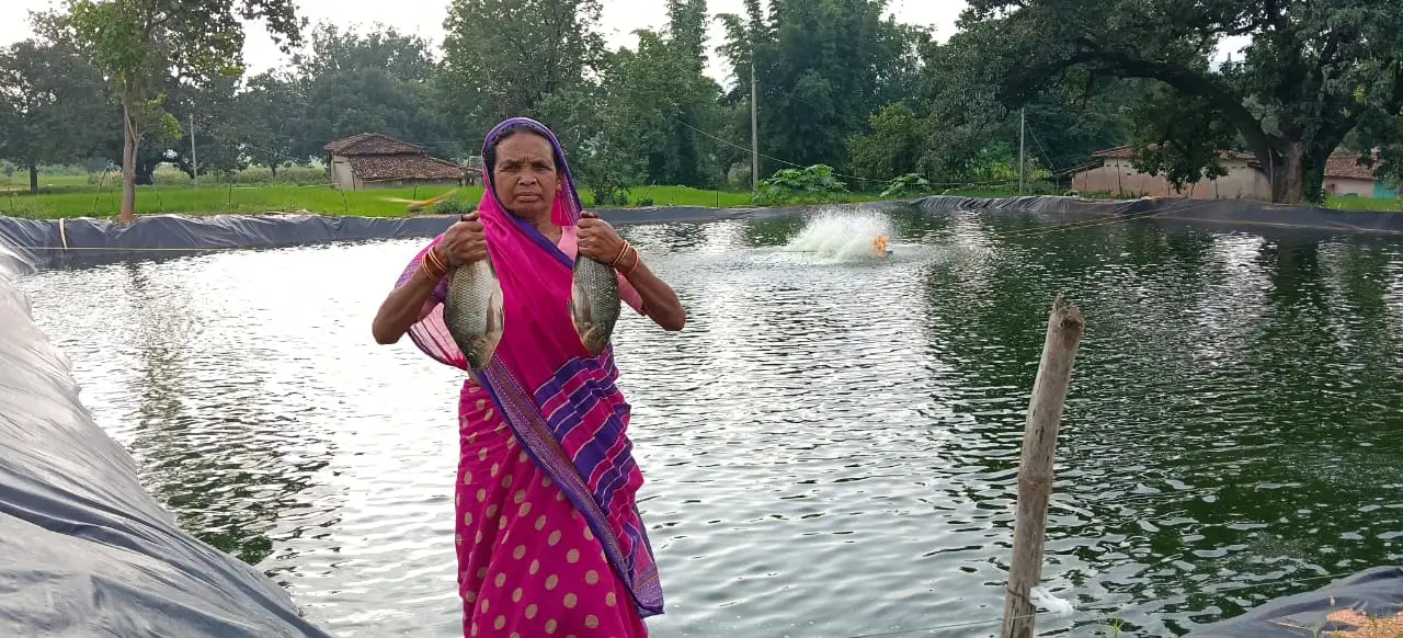 Fisheries Subsidy Chhattisgarh :  मछली पालन शुरू करना है तो ये योजना जानें, 60% खर्च सरकार देगी