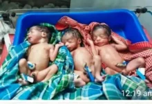 Triple Baby Birth Balrampur : पहाड़ी कोरवा महिला ने एक साथ तीन बच्चों को दिया जन्म