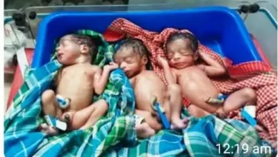 Triple Baby Birth Balrampur : पहाड़ी कोरवा महिला ने एक साथ तीन बच्चों को दिया जन्म