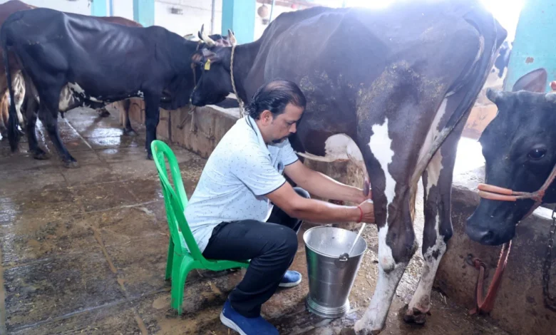 Raigarh Dairy Farm : 1,200 रुपये से शुरू किया कारोबार, 117 पशुओं तक पहुंचा फार्म; दूध से बढ़ी कमाई, 16 लोगों को रोजगार